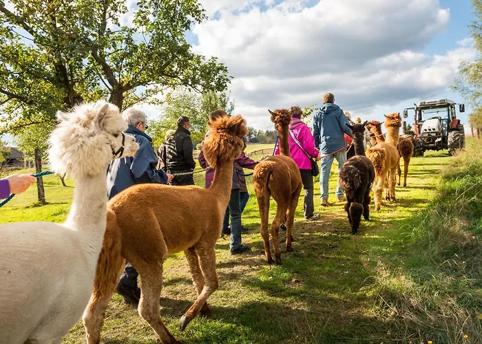 Appartement Alpakaglueck Muhlbach (Lower Austria)