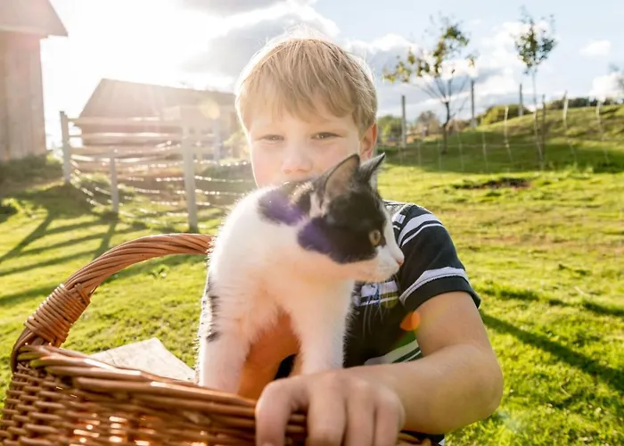 Alpakaglueck Appartement Muhlbach (Lower Austria)